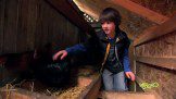 A boy is petting chickens in a chicken coop.