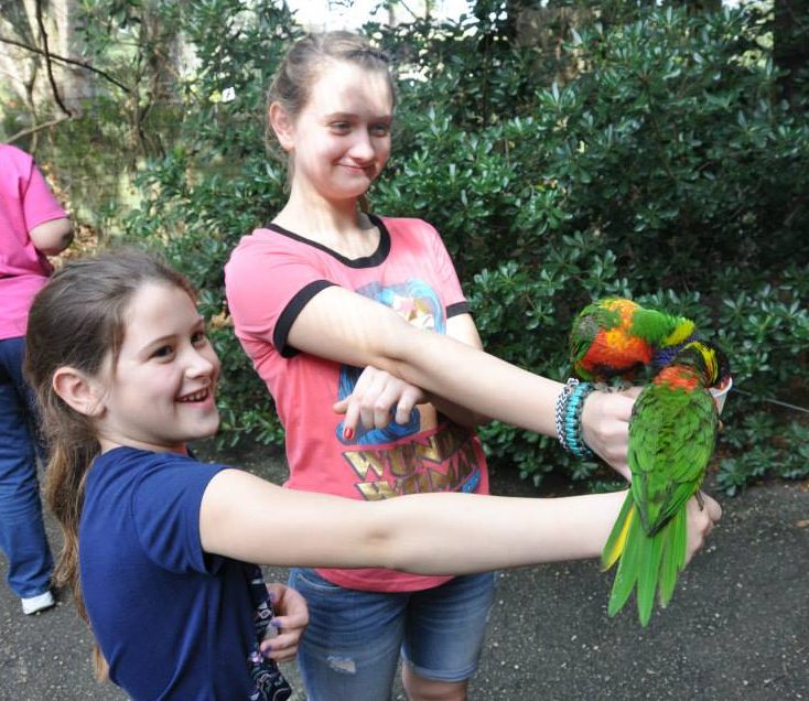 Two girls are holding parrots in their hands.