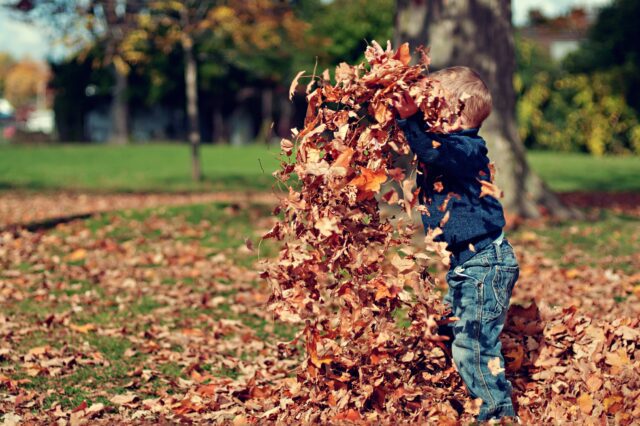 A young boy playing with leaves in a park.