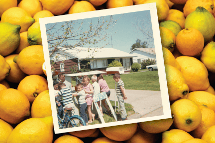A group of people standing in front of a bunch of lemons.