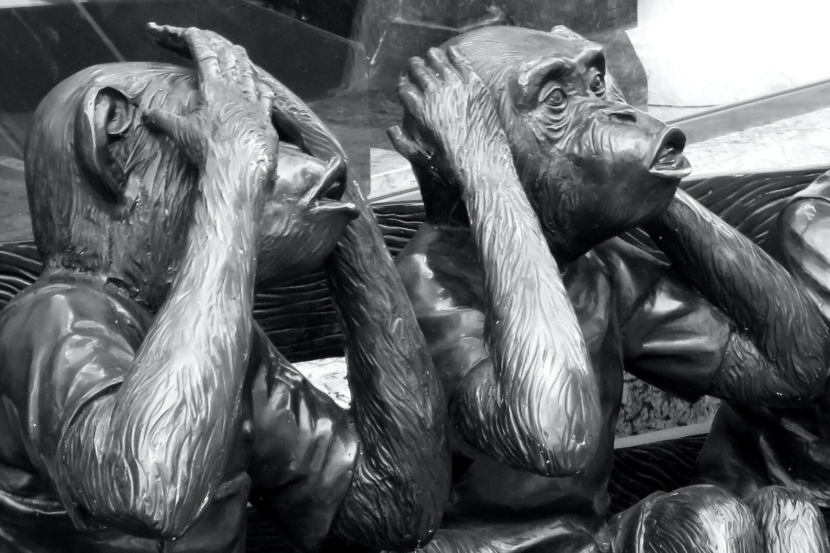 Monochrome image of sculptures depicting the "see no evil, hear no evil" concept with two gorillas.