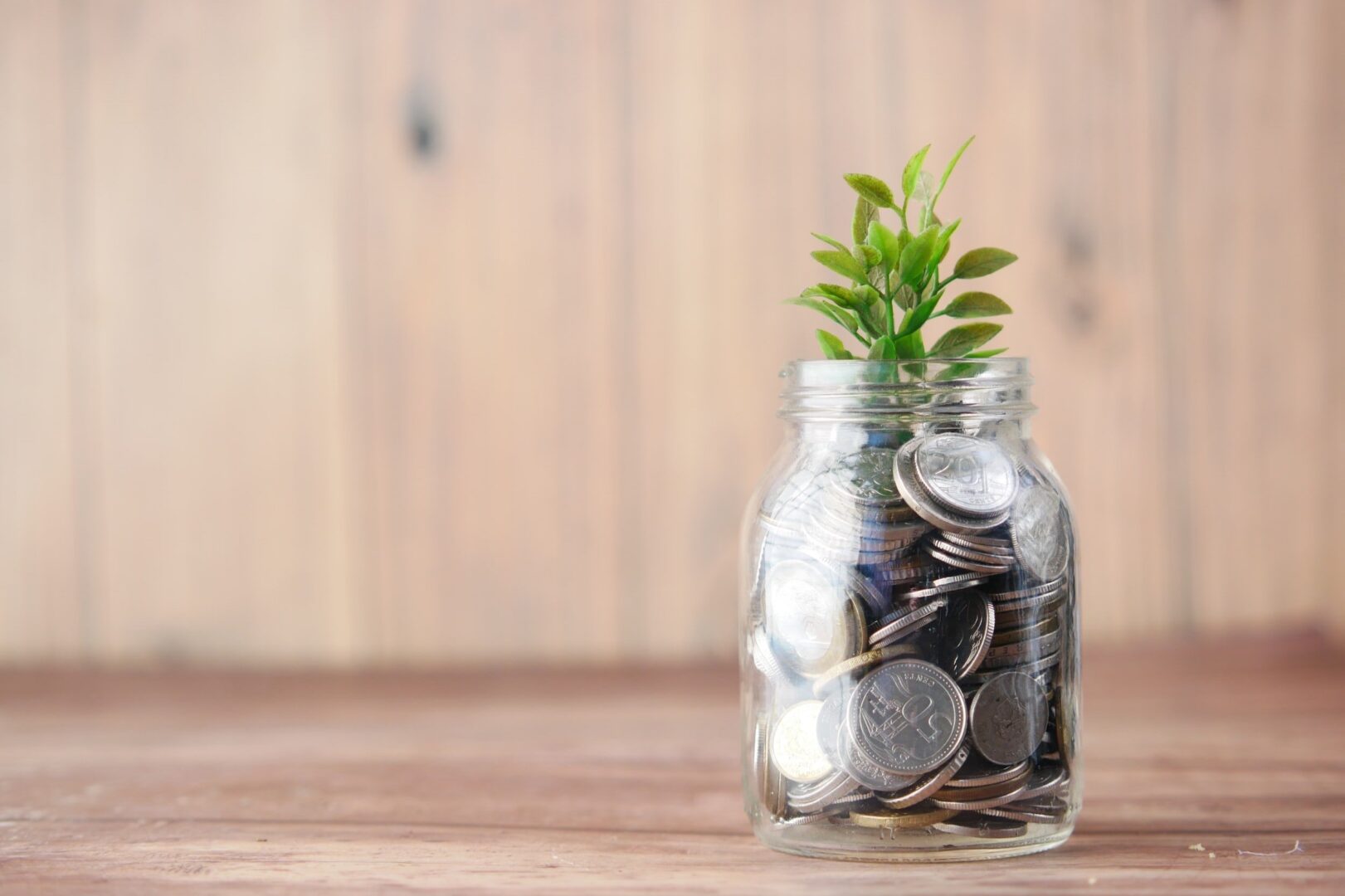A glass jar with coins and a plant in it.