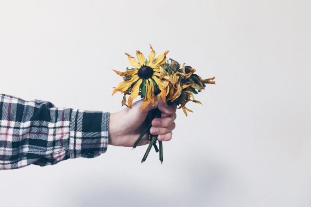 A hand holding a bunch of dried flowers.
